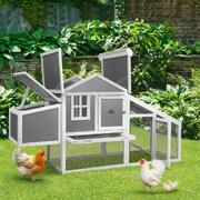 Spacious Chicken Coop with Open Roof: The Perfect Home