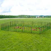 Chicken Fence Electric 50Mx125Cm Poultry Netting