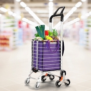 Foldable 35L Trolley for Portable Grocery Hauls