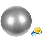 Yoga Ball 75Cm (Silver) Ft-Yb-106-Sd