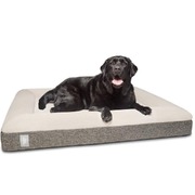 2x"Ortho" Orthopedic Dog Bed - Large