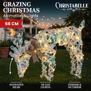 Animated Reindeer Display