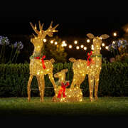 Animated Reindeer Display Gold