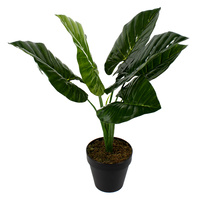 Tarto Plant 60cm 