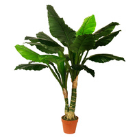 Philodendron Plant 120cm