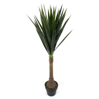 Dracanea Plant 120Cm