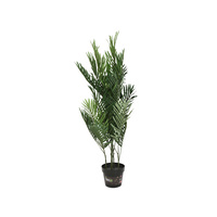 Mini Palm Tree 100cm