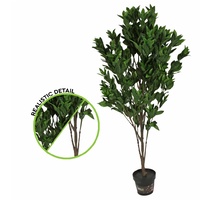 Laurel Tree 140cm