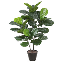 Fiddle Leaf Plant 95Cm