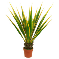 Agave Plant 115cm
