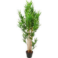 Bamboo Plant 130Cm