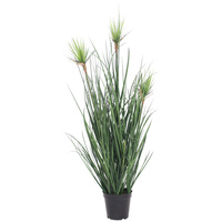 Grass Plant 90Cm