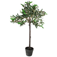 Olive Plant 90Cm