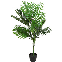 Palm Plant 100Cm