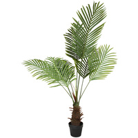 Palm Plant 120Cm