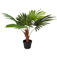 Palm Plant 70Cm