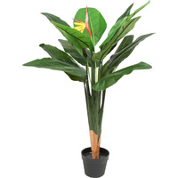 Bird Of Paradise Plant 85Cm