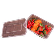 100 Pcs 750ml Take Away Food Platstic Containers Boxes Base and Lids Bulk Pack