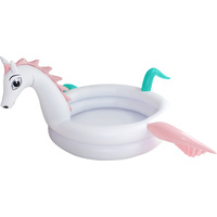3D Pastel Pegasus Pool 120 x 30cm