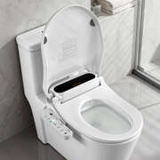 Smart Electric Bidet Toilet Seat LED Heated Dryer | EXTG