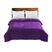 220x240cm Ultra Soft Mink Blanket Warm Throw in Aubergine Colour