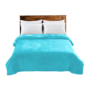 320GSM 220x240cm Ultra Soft Mink Blanket Warm Throw in Teal Colour