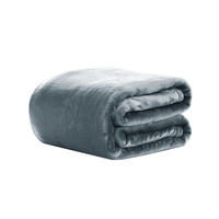 Giselle Bedding Mink Blanket Quilt Duvet Fleece Throw Rug Bedspread Silver King