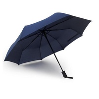 Travel Umbrella - Windproof Reinforced Canopy Auto Open/Close Blue