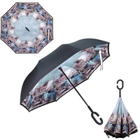 Double Layer Windproof UV Protection Reverse folding Umbrella Lake