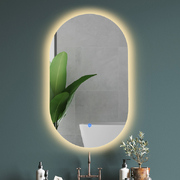 LED Wall Mirror Oval Anti-fog Bathroom Mirrors Makeup Light 60x100cm