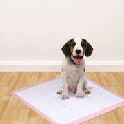 400 Pcs 60x60 cm Pet Puppy Toilet Training Pads