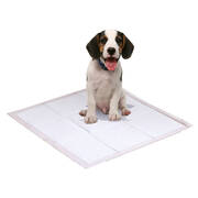 200 Pcs 60x60 cm Pet Puppy Dog Toilet Training Pads Absorbent Meadow Scent