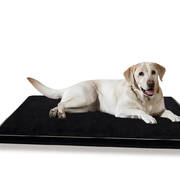 Pet Bed Dog Pillow Mat Puppy Bedding 5cm