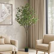 180cm Eucalyptus Tree Potted  Plant