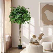 Ficus Tree Artificial Greenery