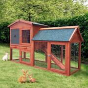 Perfect Rabbit Hutch: Tips for Happy and Healthy Bunnies