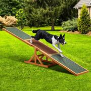 Mastering Pet Agility: Unleash Your Dog's Skills with the 180cm Dog Seesaw