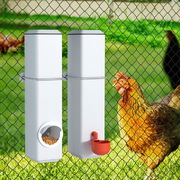 4L Chicken Feeder Water Dispenser