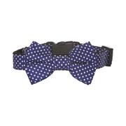 Bow Tie Dog Collar - Blue Dot Size Small