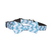 Bow Tie Dog Collar - Blue Chevron Size Large