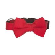 Bow Tie Dog Collar - Red Size Large 