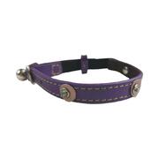 Moet Purple Cat Collar Color Purple 