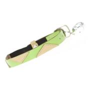 Tigger Cat Collar Size Lime 