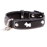 Black Dog Collar Size Medium 