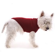Red Dog Jumper Size 30cm 