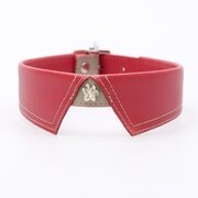 Easy dry Red Dog Collar Size Small