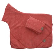 Red Dog Towel 