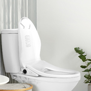 Electric Bidet Toilet Seat Auto Water Spray, Wash, Remote Control