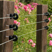 Electric Fence Ring Insulators 120pc Black | EXTG
