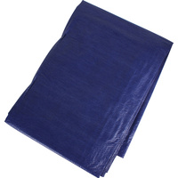 Tarpaulin Blue 90Gsm